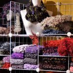 Les 2Soeurs Thibault au Marché de Noël du Musée !